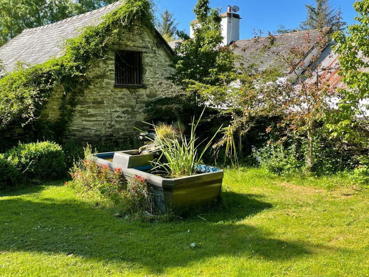Milkwood Cottage Corwen Exterior photo